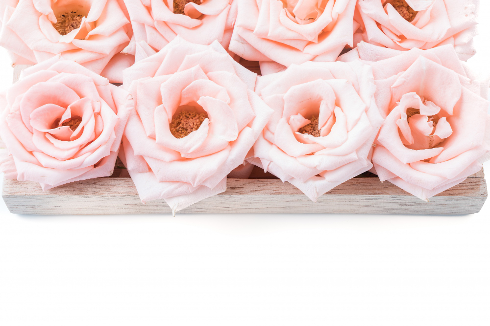 Idee regalo uniche: le rose stabilizzate di Carmen Fiori a Vercelli